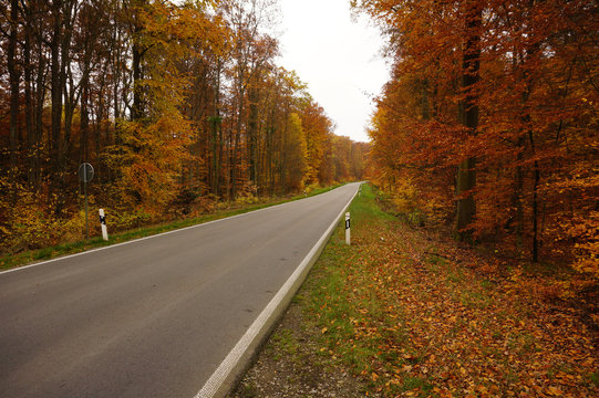 Straight Country Road Autumn