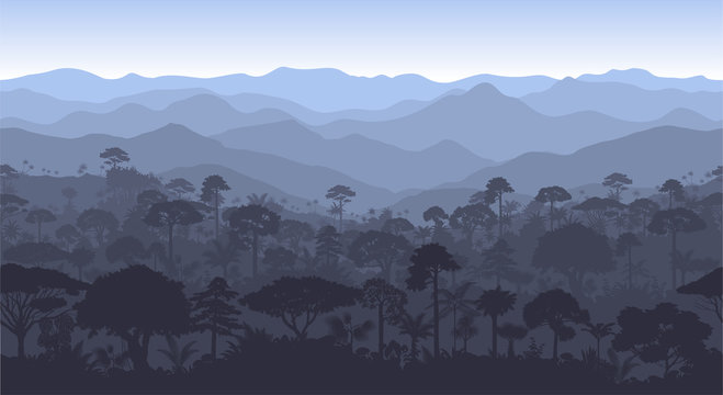 Vector horizontal seamless tropical rainforest Jungle forest background