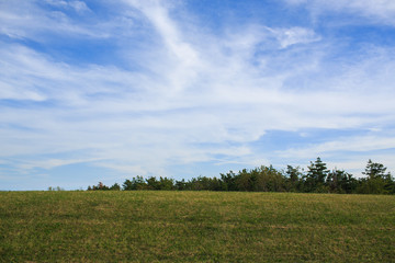 green field and blue sky