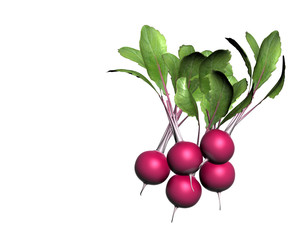 3d render of radish