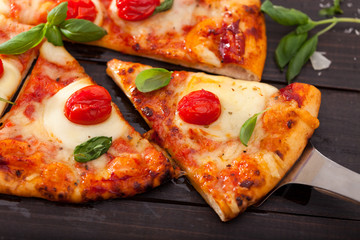 Fresh Vegetable and Cheese Pizza