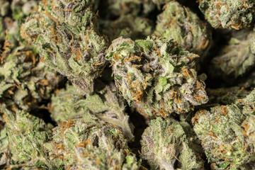 Larry OG Cured Cannabis Flowers (3)