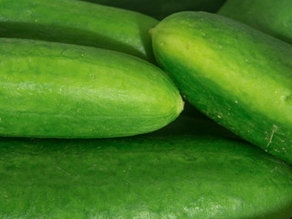 natural cucumbers. close-up drawn fresh green colored cucumbers