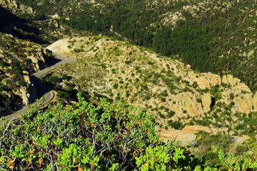 Road to Tucson from Mt. Lemmon, Arizona. 