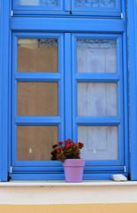 Blue window and flower pot