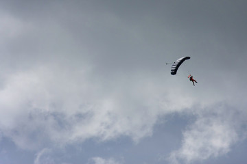 kite in the sky