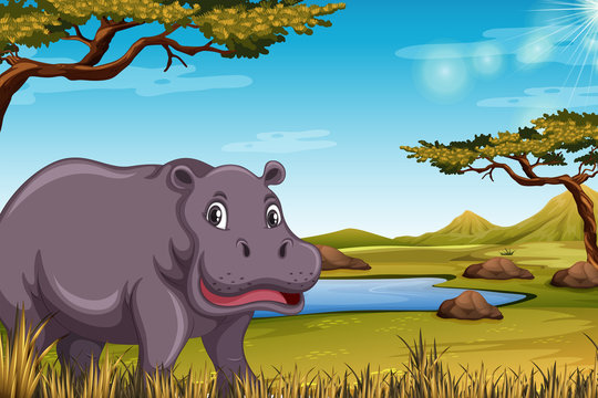 Hippopotamus in the savanna scene