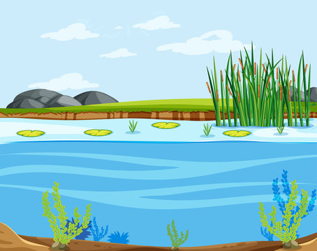 Lily Pad Clip Art Images – Browse 688 Stock Photos, Vectors, and Video |  Adobe Stock