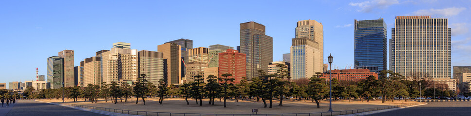 Panoramic view of Tokyo CBD skyline with Imperial Palace mae garden in front