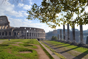 Rome Colloseum
