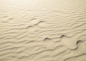 砂の模様