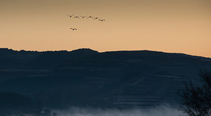 The morning of the lake
