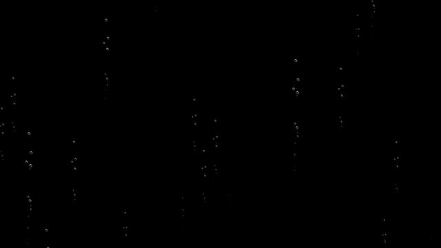 High density champagne bubbles on a black background. Thin threads of bubbles rise from one point.