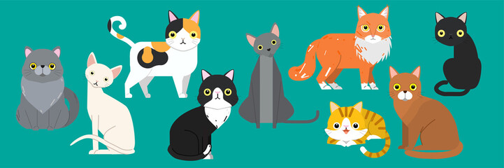 Fototapeta na wymiar Funny cartoon cats characters different breeds cute pet animal set, vector illustration