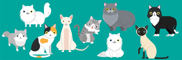 Funny cartoon cats characters different breeds cute pet animal set, vector illustration