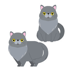Funny cartoon cats characters, cute pet animals, vector illustration