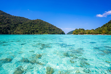 Fototapeta na wymiar beautiful clear water at Surin island in Phang-nga Province Thailand