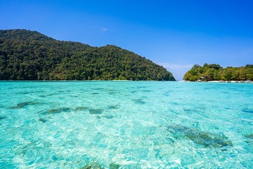 Fototapeta premium beautiful clear water at Surin island in Phang-nga Province Thailand