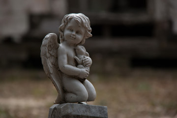 Fototapeta na wymiar angel with rabbit in grave yard