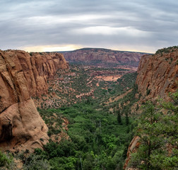 Aspen Forest Overlook Betatakin canyon in Navajo National Monument