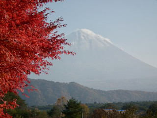 Mt,Fuji and Autumn leaves