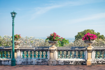 Beautiful red flower in classical white cement pot at viewpoint terrace with blue sky background in summer season - Decoration in outdoor garden