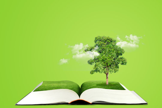 Ecology Concept : Green tree growth thru from opened book in hand.