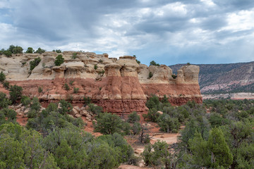 Fototapeta na wymiar Saddlehorn Mesas in Canyons of the Ancients National Monument, Colorado