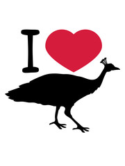 i love herz liebe vogel silhouette umriss schatten pfau fasan federn groß männlich schön hübsch augen zoo wildtier comic cartoon clipart design