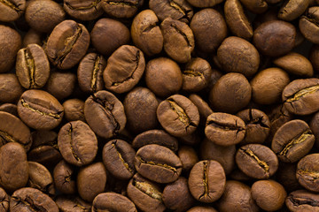 コーヒー豆（キリマンジャロ）