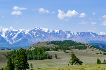 A meadow with lush green grass and coniferous trees stretching in front of the stone ridge of snow-capped peaks, a mountain range in a blue haze and white clouds.