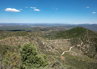 Dirt Road winds through Ponderosa Pine in Clover Mountains Wilderness Area