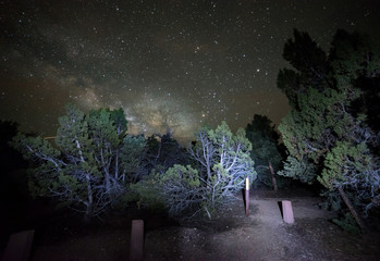 Night Hiking Trail at Ward Mountain in the Humboldt Toiyabe National Forest