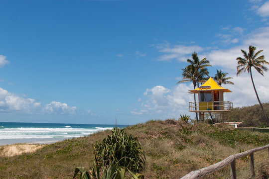 Lifeguard Tower On Beach And Palm Trees Australia Gold Coast