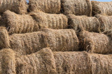 Dry baled hay bales stack, rural countryside straw background. Hay bales straw storage shed full of bales hay on agricultural farm. Rural land cowshed farm with hay straw bales stack under old shed