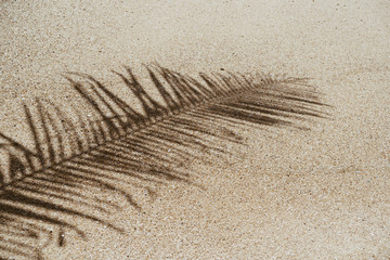 Fototapeta na wymiar Copy space of shadow palm leaf on sand beach texture background.