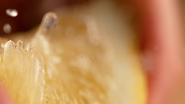 MACRO, DOF, SLOW MOTION: Quarter of organic lemon is squeezed and sour juice squirts out. Fresh lemon juice explodes out of a lemon slice being squeezed. Aromatic droplets of liquid splashing wildly.