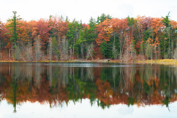 Fall colors and midwest outdoor scene for Autumn.