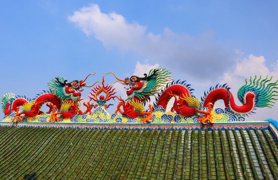 dragon on  the roof