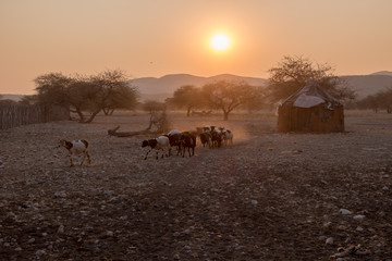 Fototapeta na wymiar Namibian Village st sunset