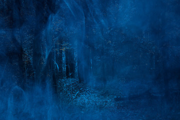 ghostly fog dark and night forest mysterious tall trees abstraction for design