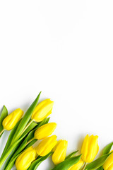 Spring composition. Delicate yellow tulips on white background top view copy space border