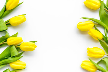 Spring composition. Delicate yellow tulips on white background top view space for text border