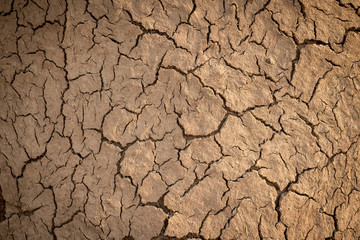 dried mud on hut
