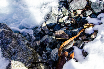 Rocky Shore