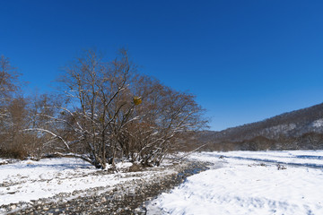 Mountain river in winter season