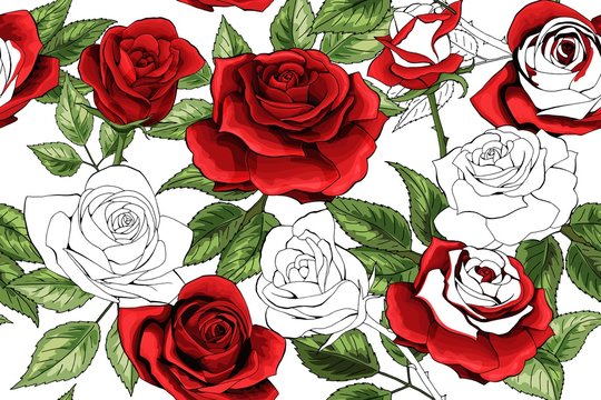 Beautiful white outline and colered red roses seamless pattern background