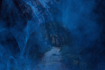 Fototapeta na wymiar the entrance to the night forest with tall dark trees covered with blue ghostly mist