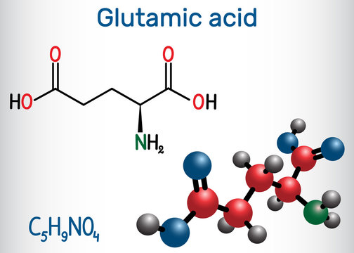Glutamic acid (L- glutamic acid, Glu, E) aliphatic amino acid molecule.  Structural chemical formula and molecule model