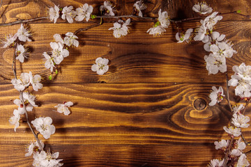 Fototapeta na wymiar Flowers of apricot tree on wooden background